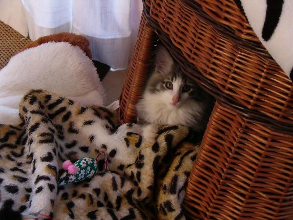 Finn 19-02-11 079