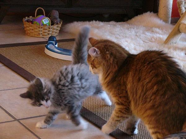 Finn 19-02-11 085