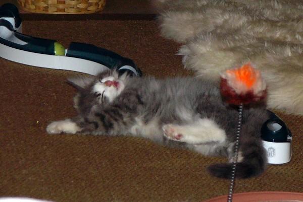 Finn 19-02-11 088