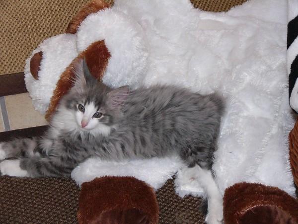 Finn 19-02-11 090
