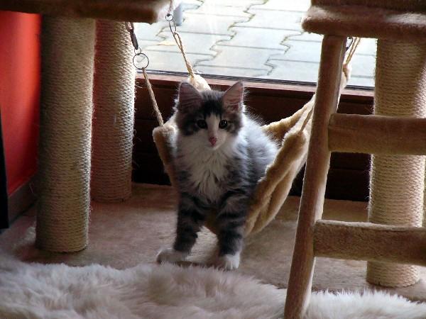Finn 26-03-11 010